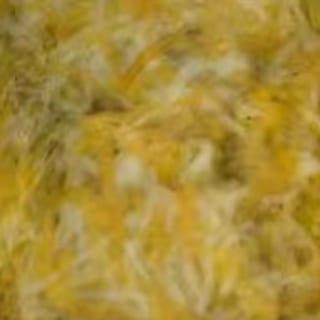 Pork Chili Verde